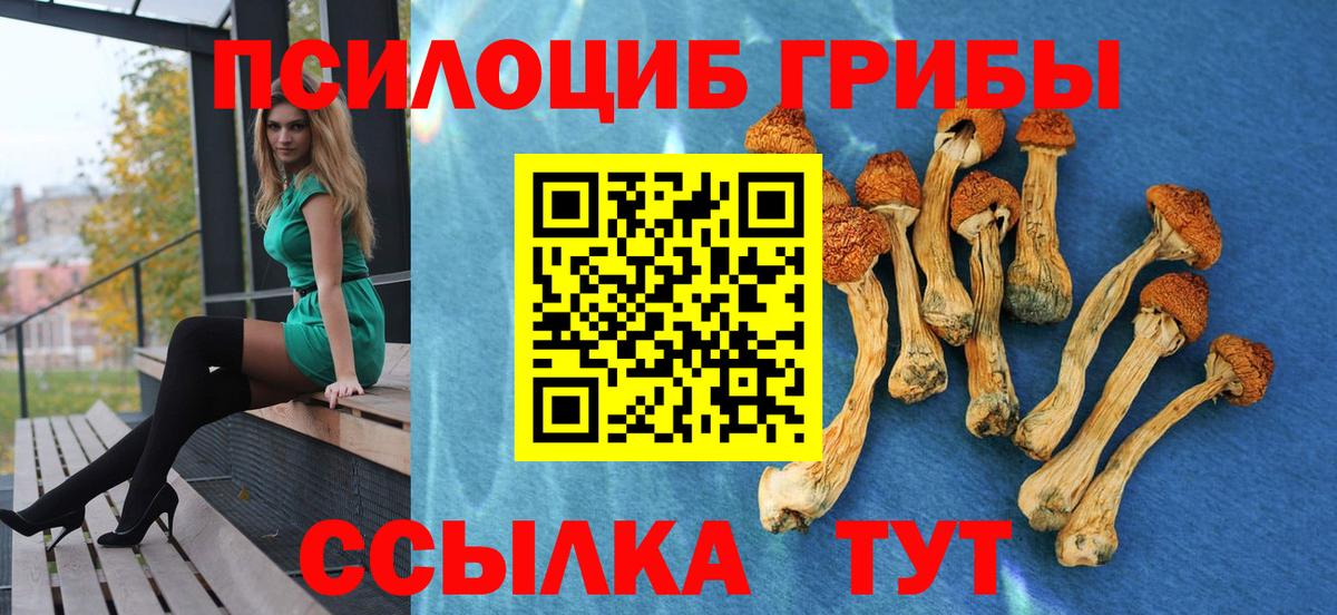 Галлюциногенные грибы GOLDEN TEACHER  Вход с VPN  Елец 